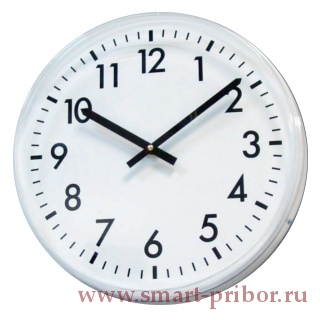 СВ30 часы вторичные стрелочные